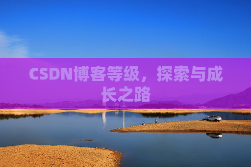 CSDN博客等级，探索与成长之路